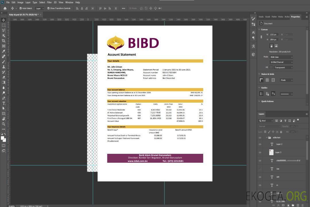 Relevé bancaire de Brunei Bank Islam Brunei Darussalam modèle facile à remplir au format Excel et PDF (AutoSum) template